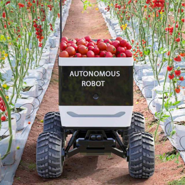 inner_link_image_02 https://sciwizdigital.com/wp-content/uploads/2023/12/inner_link_image_02-640x640.jpg